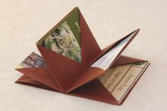 an origami card holder made out of folded paper with pictures on the front