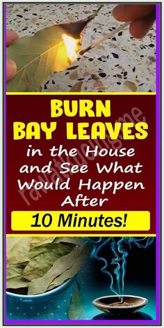 THIS IS WHY YOU SHOULD BURN A BAY LEAF IN YOUR HOME Burning Bay Leaves, Bay Leaf, Bay Leaves, Marriage Tips, Better Health, Health And Wellness, Health