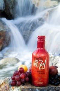 Turn your everyday NingXia Red shot into a smoothie! Antioxidant Juice, Chronic Fatigue Remedies, Red Juice, Red Smoothie, Ningxia Red, Health Heal, Migraine Relief, Health Nut, Young Living Oils