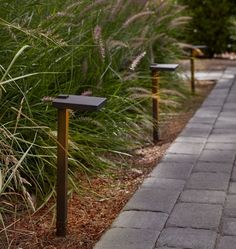 two mailboxes on the side of a sidewalk near some tall grass and plants