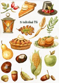 an illustration of various thanksgiving foods and vegetables