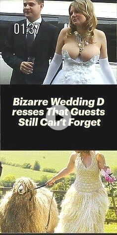 ✓✓✓Wedding day choices that would get most people saying "no" to the dress. kitchen ideas interior design, kitchen ideas small, kitchen ideas, kitchen ideas for small spaces... Types Of Layers, Layers Haircuts, Haircuts For Girls, Wedding Dr, Heatless Hairstyles, Summer Dresses For Wedding Guest, Crochet Clothes For Women, Travel Essentials For Women, Curly Hair Routine