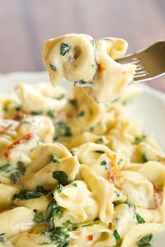 a pasta dish with spinach and cheese being lifted from a plate by a fork