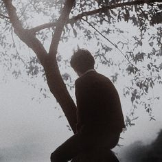 a man in a suit sitting on a bench under a tree looking at the sky