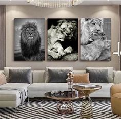 three pictures of lions in black and white on a wall above a couch with two chairs