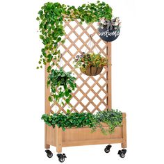 a wooden plant stand with plants growing on it