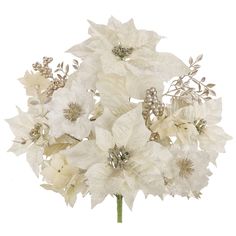 a bouquet of white flowers on a white background