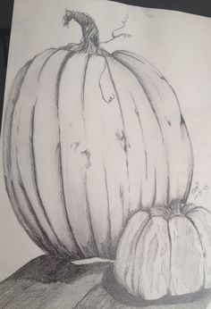 a pencil drawing of two pumpkins sitting on top of a piece of paper next to each other