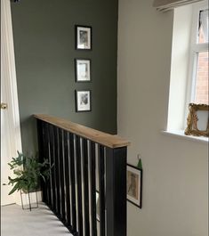 a staircase with pictures on the wall above it and a plant in front of them