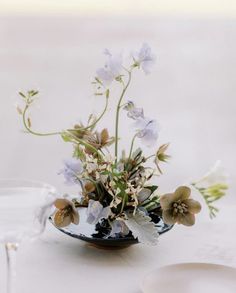 Modern Rustic Ceramic tableware for your everyday rituals. Handmade in Los Angeles, California. Home Plants Decor, Plant Arrangements, Centerpiece Home, Home Plants, Ikebana Arrangements, Plants Decor, Flower Display, Fine Art Wedding Photographer, Modern Floral