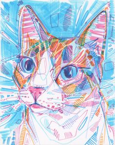 a drawing of a cat's face with blue eyes and colorful lines on it