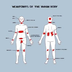 the human body is shown with different parts labeled in red and white, as well as an