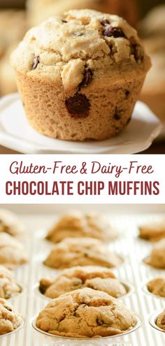 gluten - free and dairy - free chocolate chip muffins are the perfect treat