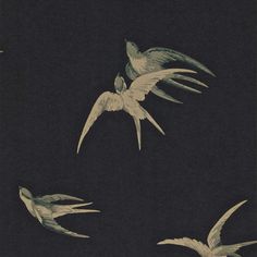 three white birds flying in the dark sky