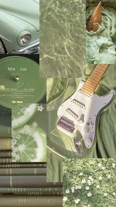 a collage of different guitars and cd's with flowers on the covers, in shades of green