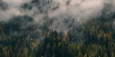 an aerial view of trees and fog in the mountains