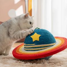 a cat playing with a toy on the floor