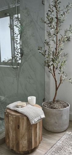 a potted tree sitting on top of a wooden table next to a bath tub