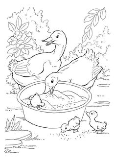 ducks and chicks in a bowl coloring page