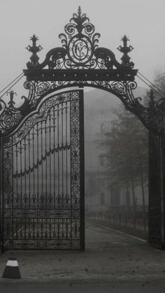 an ornate iron gate in the middle of a park on a foggy, overcast day