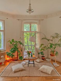 a living room filled with lots of furniture and plants on top of a wooden floor