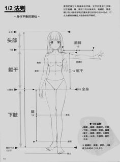 an anime character's body and measurements