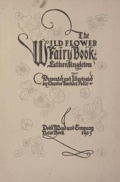 the wild flower fairy book, illustrated by edward hill