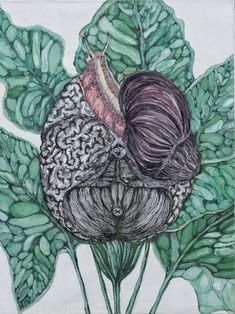 a drawing of two balls of yarn sitting on top of a leafy plant