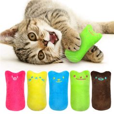 a cat laying on its back with five different colored toys in it's paws