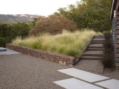 an outdoor area with grass and stairs