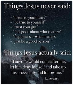 a poster with the words, things jesus never said and an image of mountains in the background