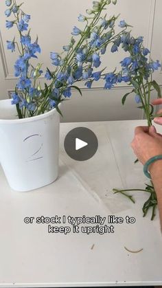 someone is arranging blue flowers in a vase