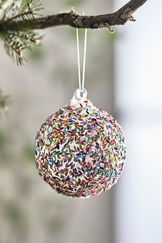 an ornament hanging from a tree branch with sprinkles on it