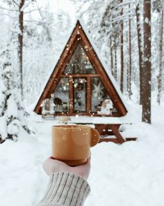 a person holding a coffee cup in front of a cabin with snow on the ground