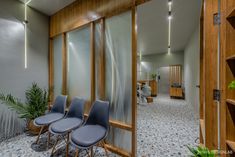 four chairs are lined up in front of the glass doors to an open area with potted plants