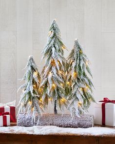 three small christmas trees with lights and snow on them