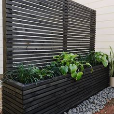 an outdoor privacy screen with plants growing in it and the words diy privacy screen above it