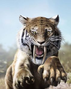 a tiger with its mouth open and it's claws out in front of the camera