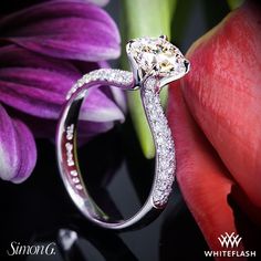 The Simon G TR431 Caviar Diamond Engagement Ring is part of the Caviar Collection. It is embellished with 72 round brilliant melee (G/H VS, 0.39 ctw) on ¾ of the shank and holds a 1.00ct center diamond. A classic timeless beauty that is sure to leave her breathless. Luxury Diamond Ring With Vvs Clarity, Luxury Solitaire Diamond Ring With Round Stone, Luxury Solitaire Diamond Ring, Luxury Diamond Ring Vvs Clarity Classic Cut, Luxury Diamond Ring With Brilliant Classic Cut, Luxury Diamond Ring With Brilliant And Classic Cut, Luxury Diamond Ring With Vvs Clarity And Classic Cut, Luxury Solitaire Diamond Ring With Classic Cut, Luxury Moissanite Diamond Ring With Classic Cut