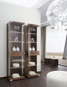 a living room filled with furniture and a large glass case on top of a hard wood floor