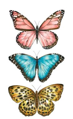 three butterflies with the words merr sehen written on one side and two different colors