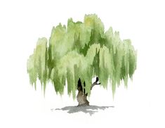 a watercolor painting of a tree with green leaves