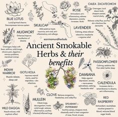 Smokeable Herbs, Herbs And Their Benefits, Smokable Herbs, Dream Herbs, Witch Spell Book, Herbal Healing