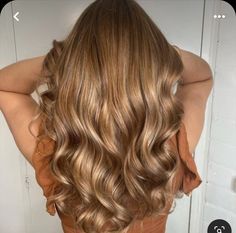 Honey Tones Hair, All Over Golden Brown Hair Color, Light Brown Without Highlights, Butterscotch Hair Color Brown, Honey Gold Brown Hair, Honey Gold Hair Color, Golden Beige Brown Hair, Light Brown Hair Without Highlights, Light Brown Hair With Golden Highlights