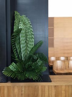 a large green plant sitting on top of a wooden shelf next to a black wall