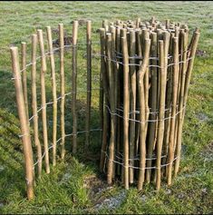 several wooden posts are in the grass behind a wire fence that is made from wood sticks