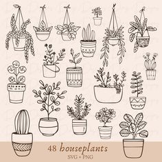 hand drawn potted plants clipart set