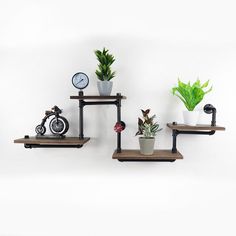 three shelves with plants and an alarm clock on them