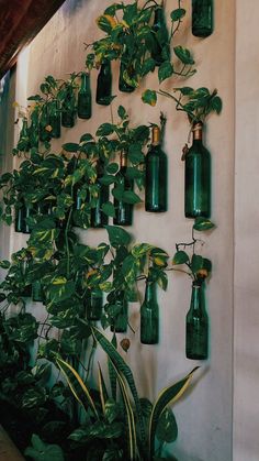 there are many green bottles on the wall with plants growing in them and hanging from it