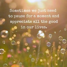 some bubbles floating in the air with a quote on it that says sometimes we just need to pause for a moment and appreciate all the good i'm